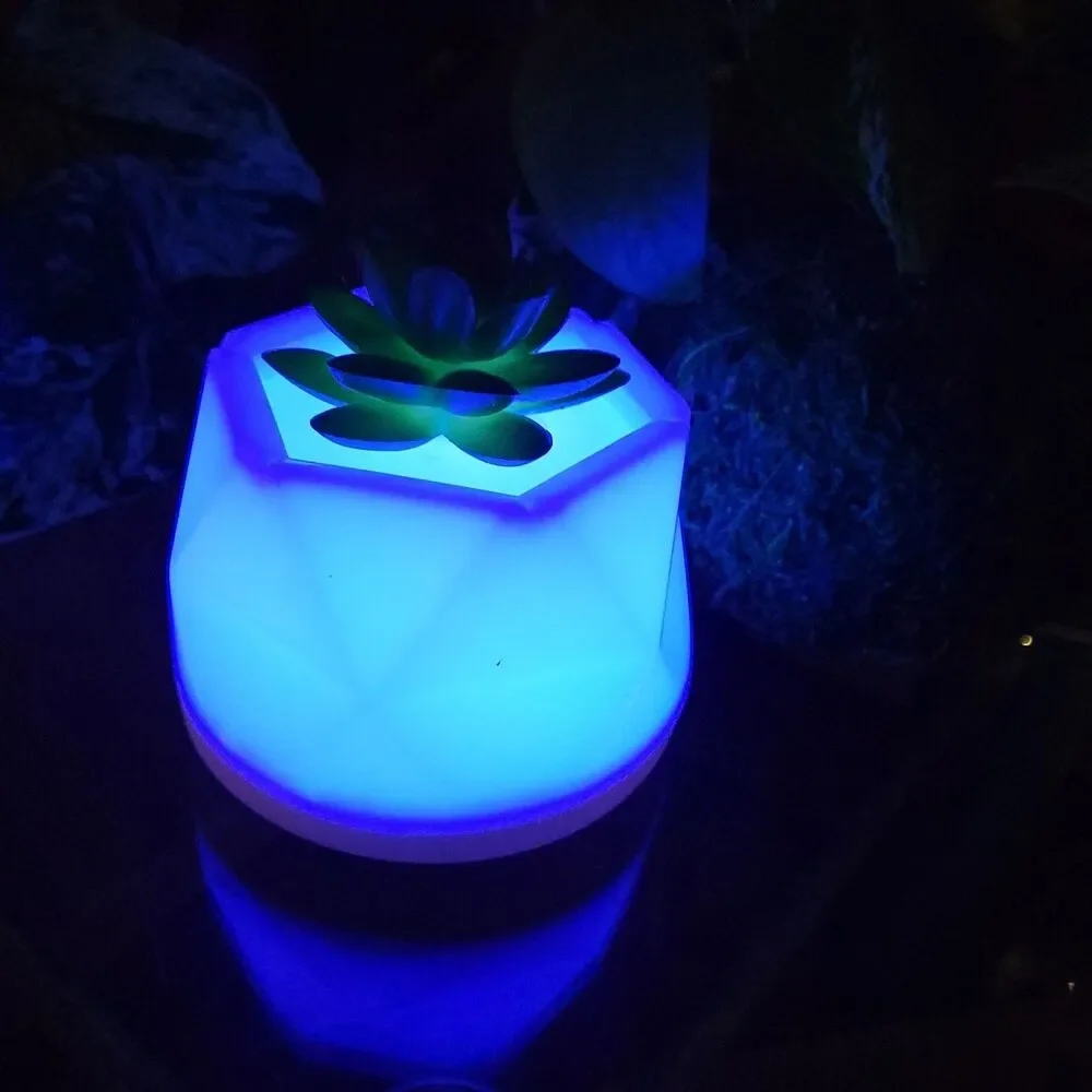 Succulent Color-Changing Night Light Lamp Waterless Essential Oil Diffuser Aroma